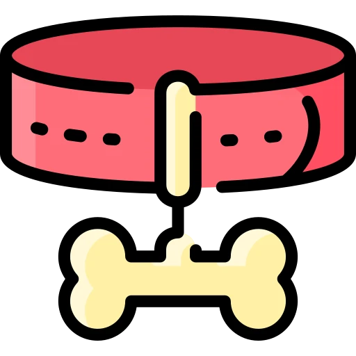 Pet & Acceessorise
