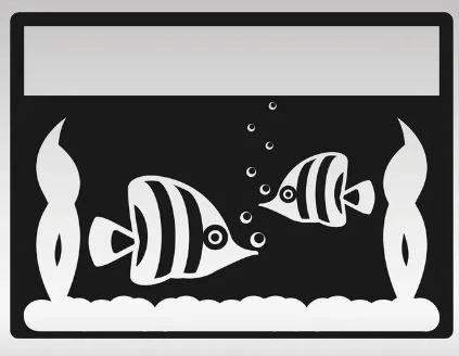 Aquariums (Glass Tanks)